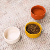 Ceramic Cat & Dog Pet Bowl, Elevated Stoneware Feeder, Dishwasher Safe - BIG FRENCHIES