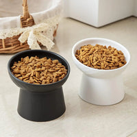 Ceramic Raised Tilted Cat Bowls Set of 2, Elevated Porcelain Feeder - BIG FRENCHIES