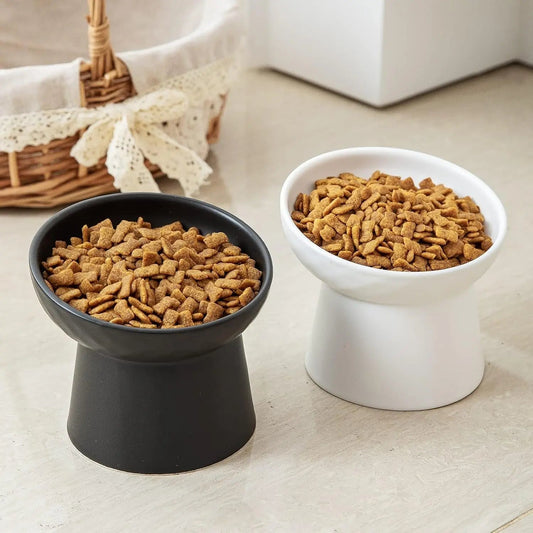 Ceramic Raised Tilted Cat Bowls Set of 2, Elevated Porcelain Feeder - BIG FRENCHIES