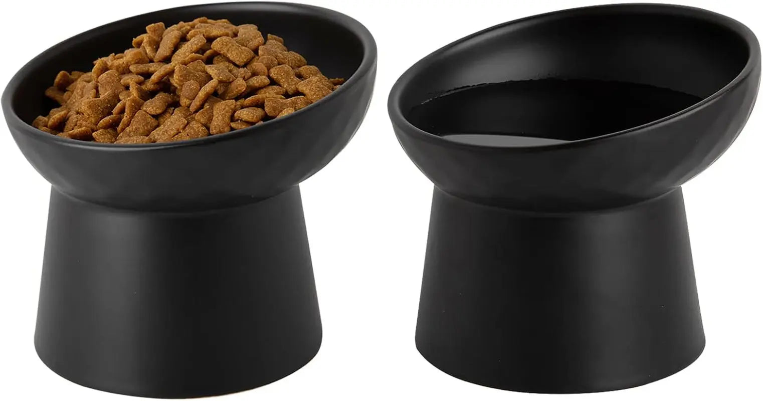 Ceramic Raised Tilted Cat Bowls Set of 2, Elevated Porcelain Feeder - BIG FRENCHIES