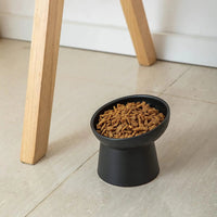 Ceramic Raised Tilted Cat Bowls Set of 2, Elevated Porcelain Feeder - BIG FRENCHIES