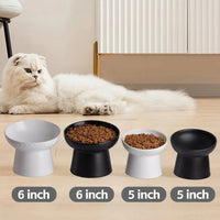 Ceramic Raised Tilted Cat Bowls Set of 2, Elevated Porcelain Feeder - BIG FRENCHIES