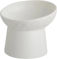 Ceramic Raised Tilted Cat Bowls Set of 2, Elevated Porcelain Feeder - BIG FRENCHIES