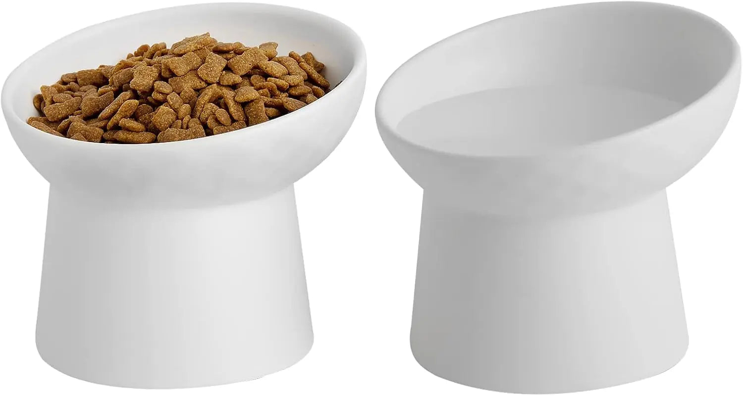 Ceramic Raised Tilted Cat Bowls Set of 2, Elevated Porcelain Feeder - BIG FRENCHIES