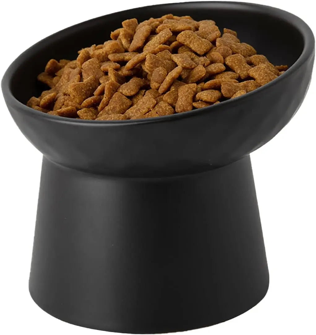 Ceramic Raised Tilted Cat Bowls Set of 2, Elevated Porcelain Feeder - BIG FRENCHIES