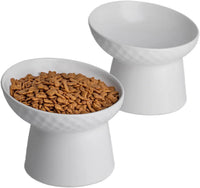 Ceramic Raised Tilted Cat Bowls Set of 2, Elevated Porcelain Feeder - BIG FRENCHIES