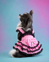 Pink Gingham Lace Dog Dress – Boutique Princess Puppy Dress with Black Lace Ruffles & Bow
