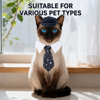 Vintage Flat Cap & Tie Set for Dogs and Cats Gentleman Pet Costume Accessories
