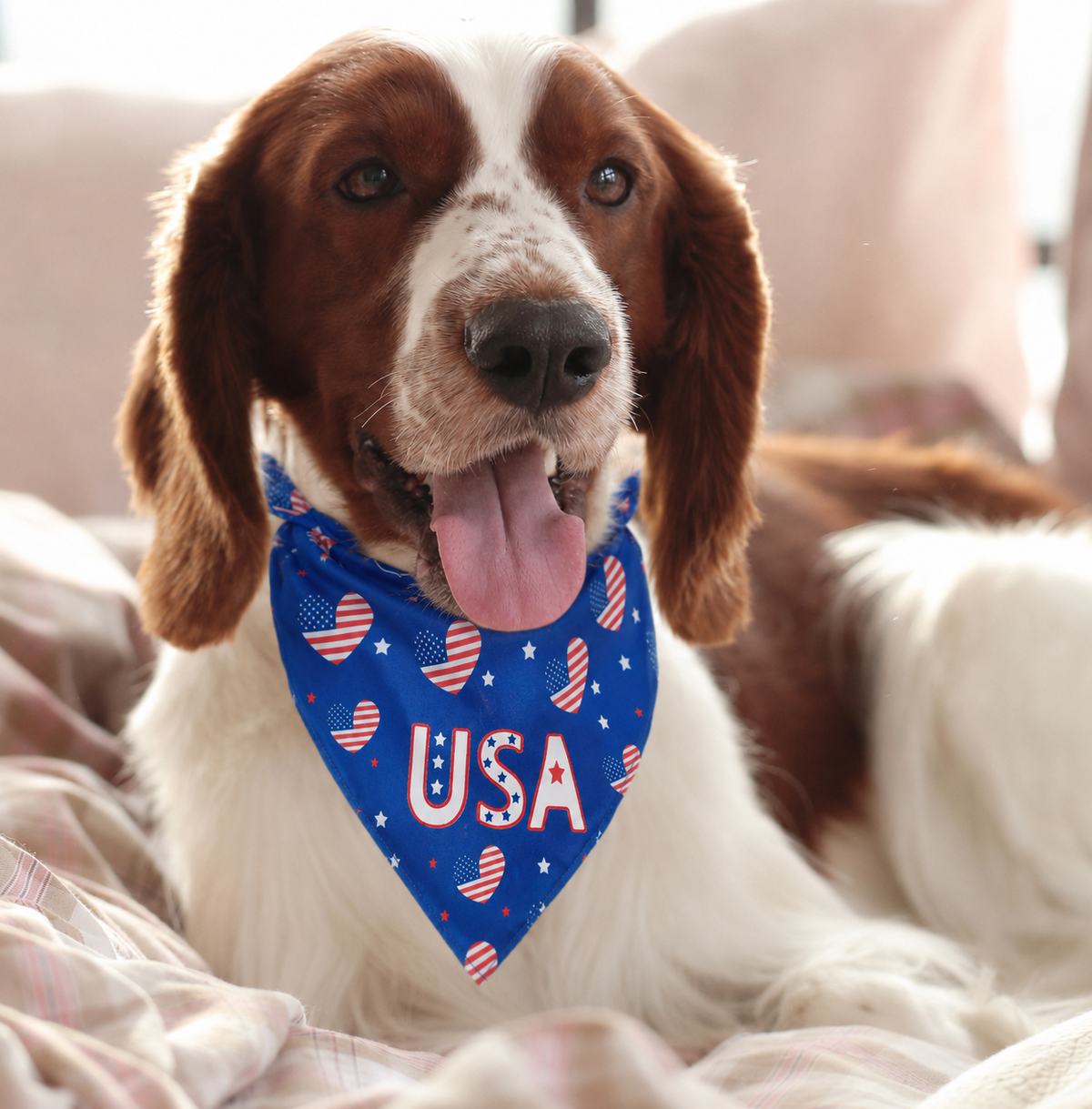 USA Patriotic Heart Print Dog Bandana Collar Scarf – Independence Day Pet Neckerchief for Small Medium Large Dogs-Pet Collars & Leashes-BIG FRENCHIES-Jane's Pet Boutique