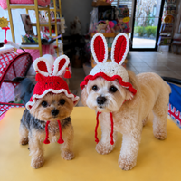 Handmade Crochet Bunny Ear Dog Hat – Cute Rabbit Bonnet for Small Dogs & Cats Easter Photo Costume