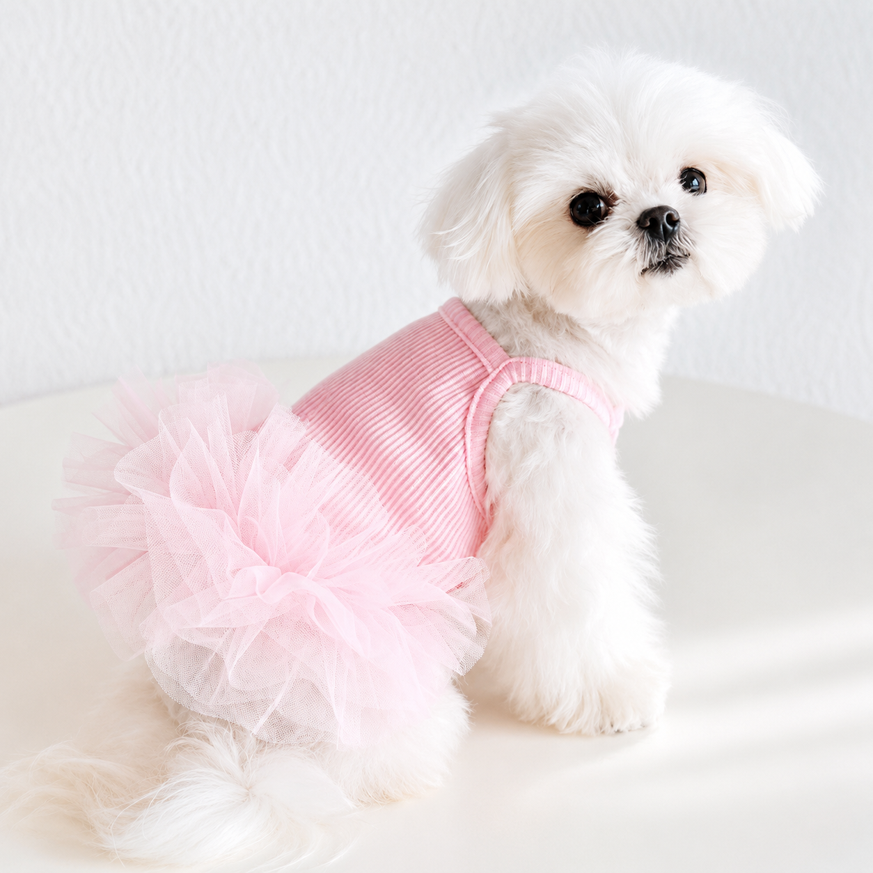 Ribbed Knit Dog Tutu Dress with Tulle Skirt