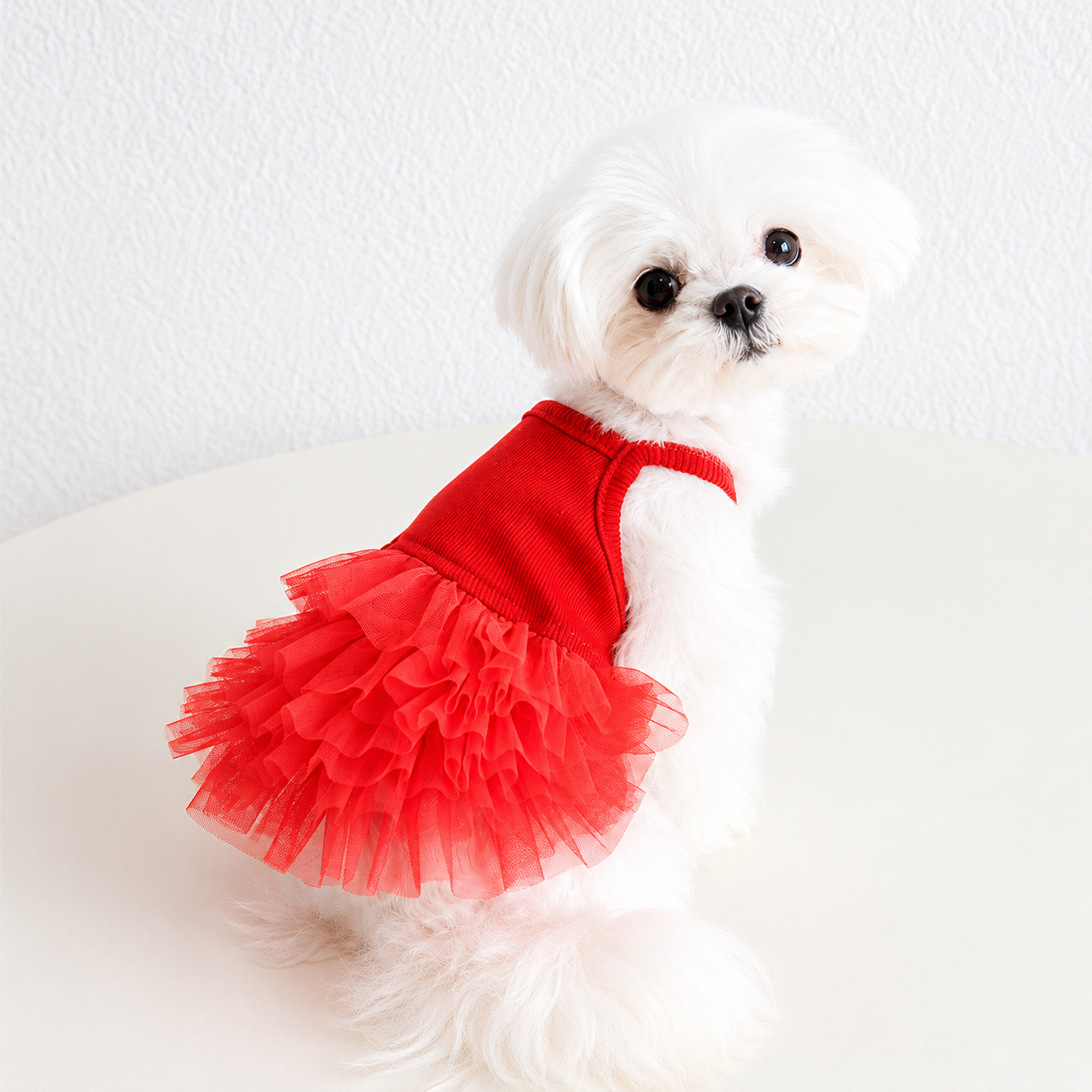 Red Ribbed Knit Dog Tutu Dress with Tulle Skirt