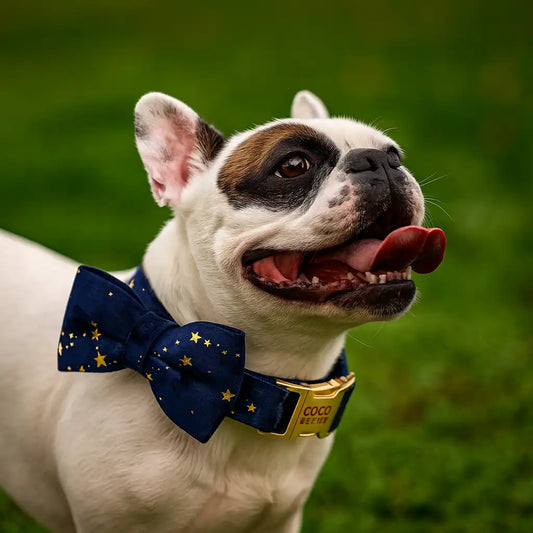 Personalized Dark Blue Velvet Classic Set