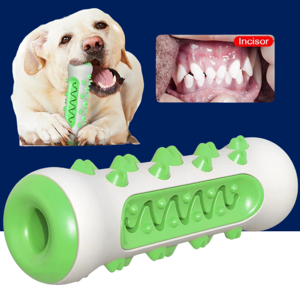 Chew-Resistant Rubber Dog Toy for Dental Health - BIG FRENCHIES
