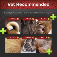 Chlorhexidine Medicated Pet Wipes XL for Dogs & Cats Antibacterial 50ct