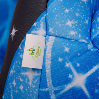 Cinderella Platinum 2-in-1 Harness to Booster Car Seat