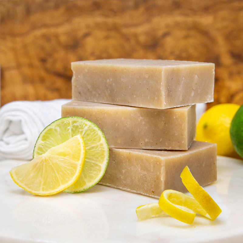 Citrus Coconut Shampoo Bar - BIG FRENCHIES