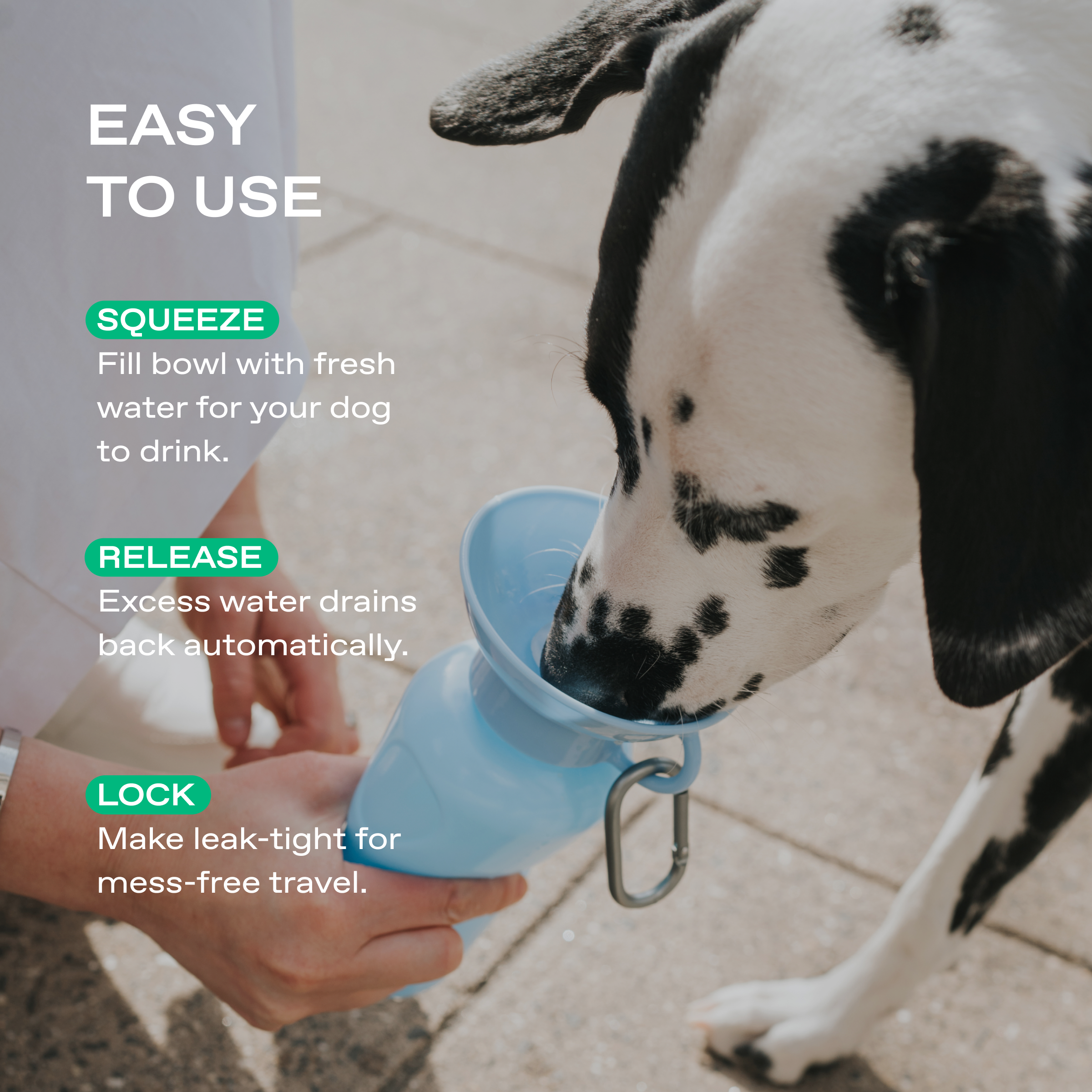 22oz Original Dog Travel Water Bottle - BIG FRENCHIES