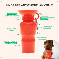 22oz Original Dog Travel Water Bottle - BIG FRENCHIES