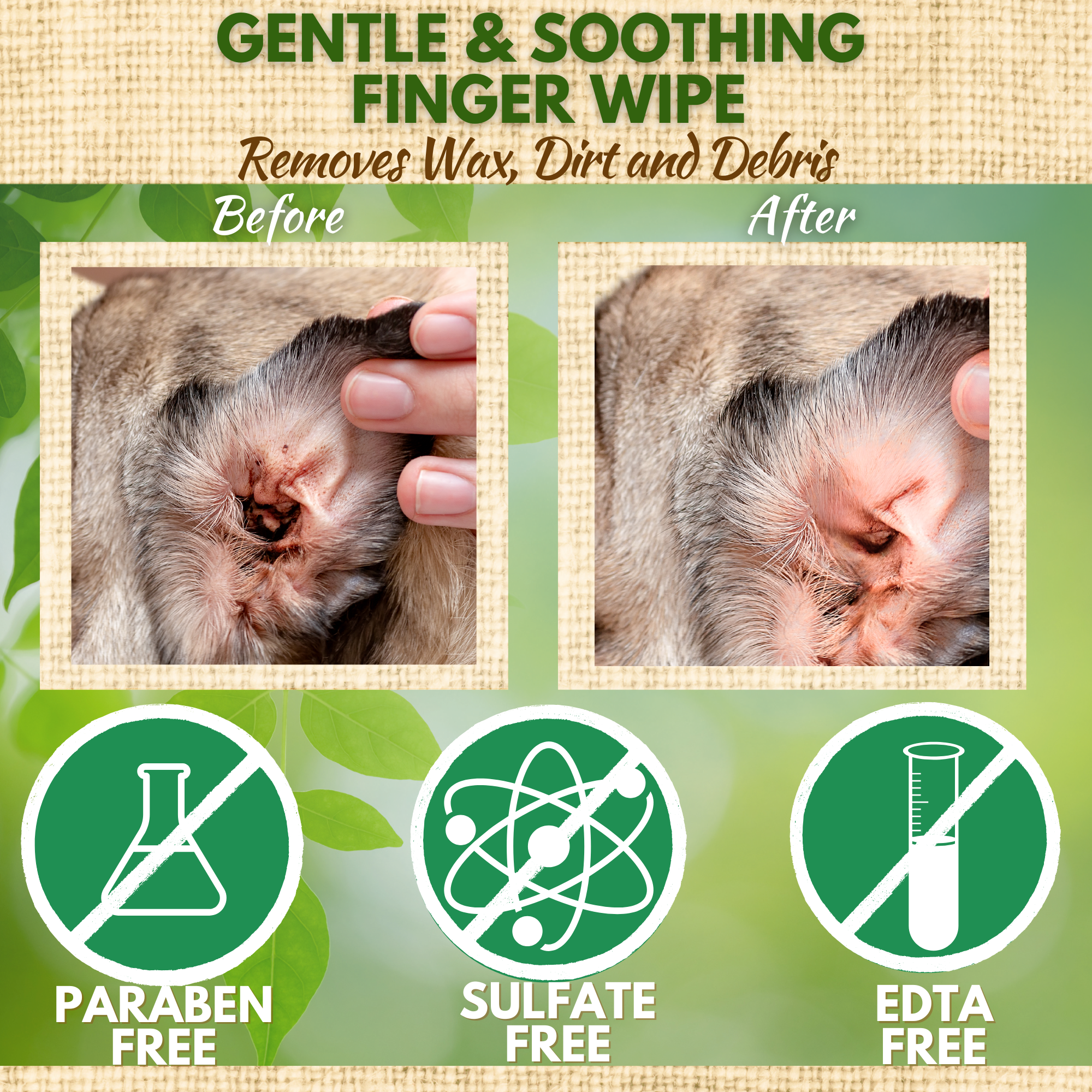 Dog Ear Wipes - Dog Ear Cleaning Wipes by EcoBark - Naturally Coconut Scented - 50 Count Finger Wipes For Puppies and Dogs - BIG FRENCHIES