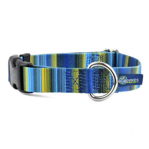 Clyde Buckle Martingale Dog Collar – EarthStyle-Pet Collars & Leashes-BIG FRENCHIES-2 Hounds Design