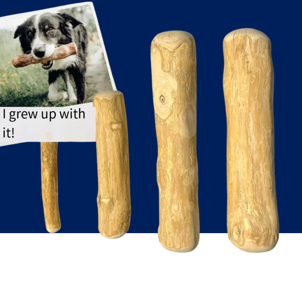 Coffee Wooden Dog Chew Stick – Tooth Pressure Relief Toy - BIG FRENCHIES