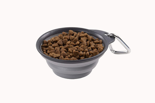 Collapsible Travel Cup for Pets