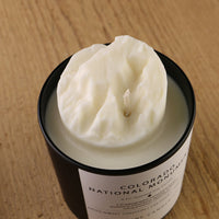 Colorado National Monument Candle - BIG FRENCHIES