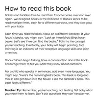 Colorful Birds Board Book