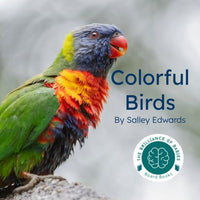 Colorful Birds Board Book