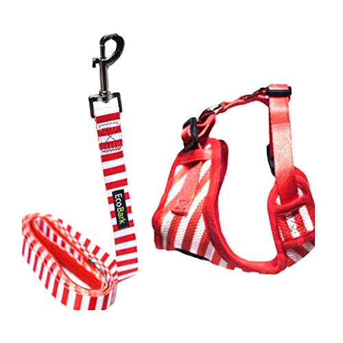 EcoBark Custom-Fit Harness & Leash Combo - Red Stripe - BIG FRENCHIES