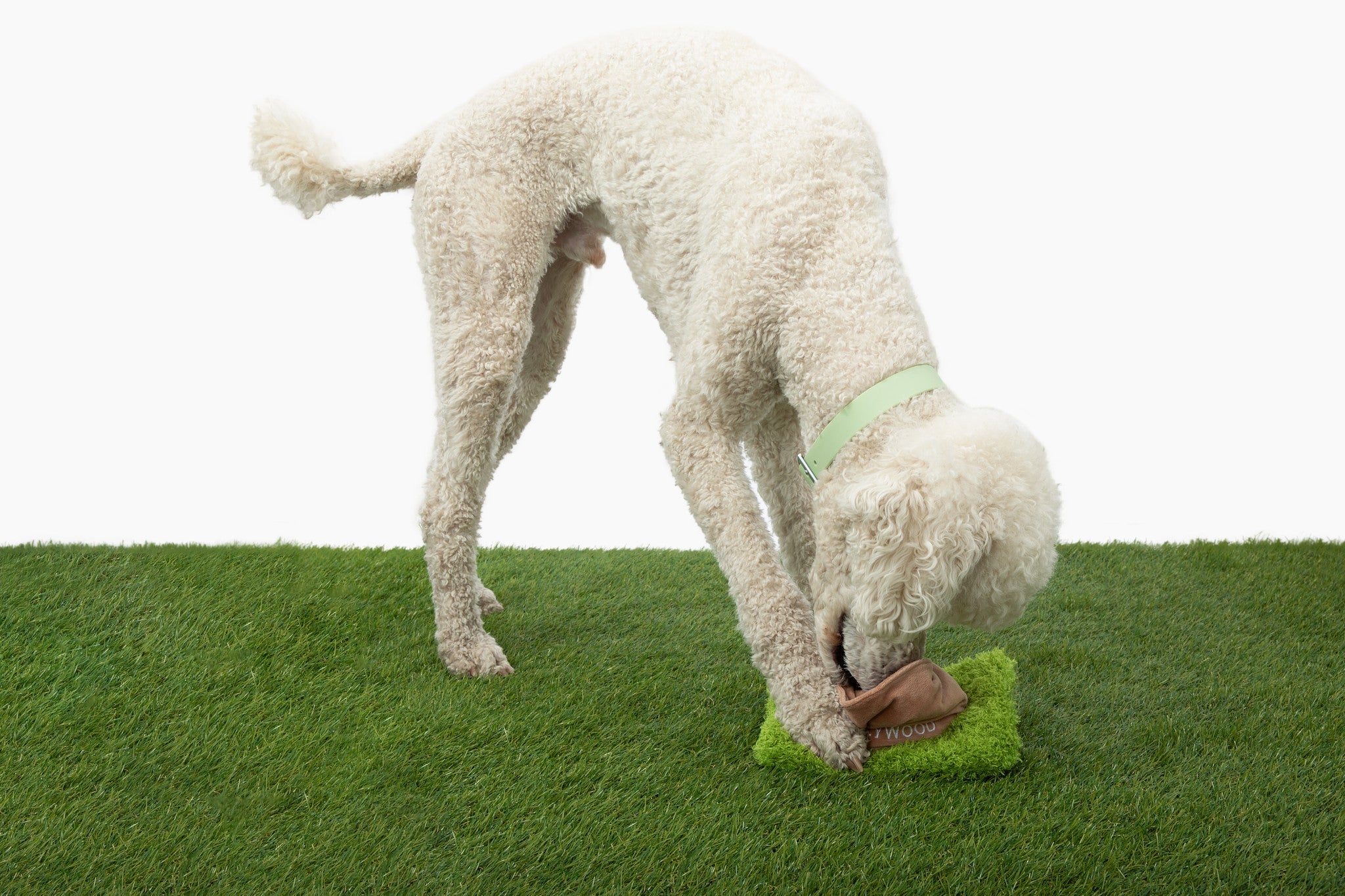Hollywoof Nose Work Dog Toy