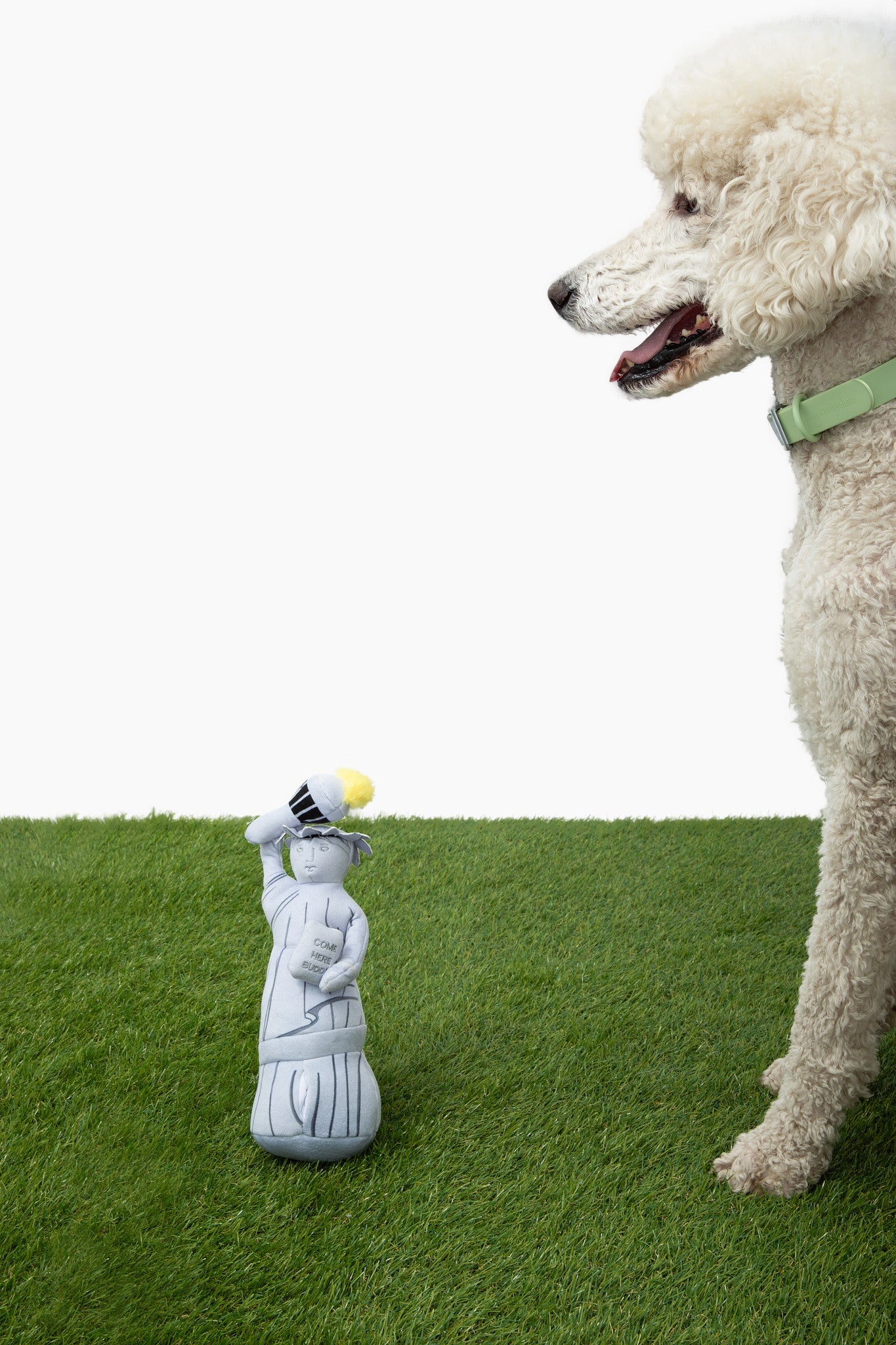 Liberty Nose Work Dog Toy