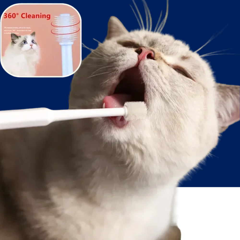 Complete Pet Toothbrush And Toothpaste Kit - BIG FRENCHIES