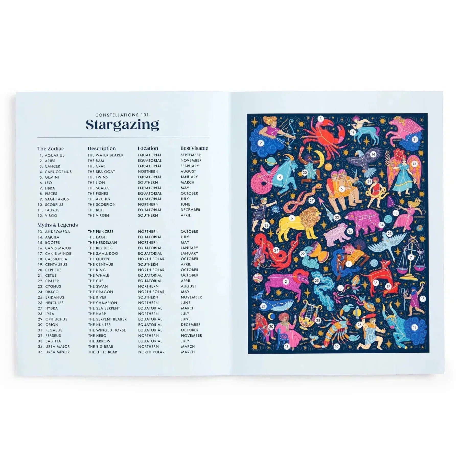 Constellations 101: Stargazing 500 Piece Jigsaw Puzzle Galison - BIG FRENCHIES