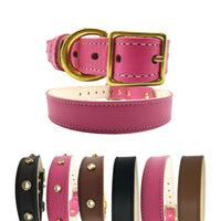 Plain Leather Dog Collar - BIG FRENCHIES