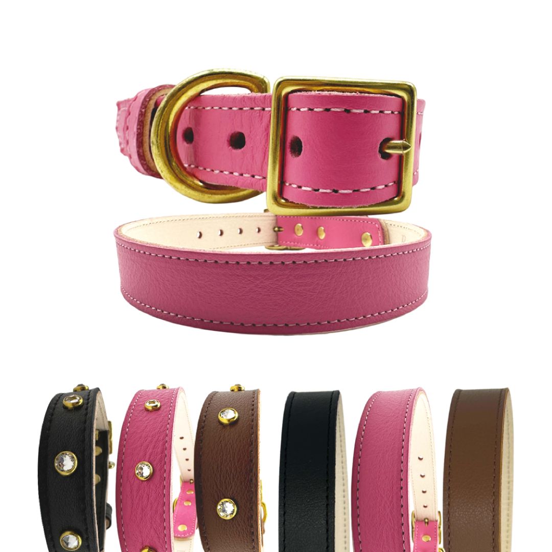 Plain Leather Dog Collar - BIG FRENCHIES