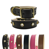 Plain Leather Dog Collar - BIG FRENCHIES