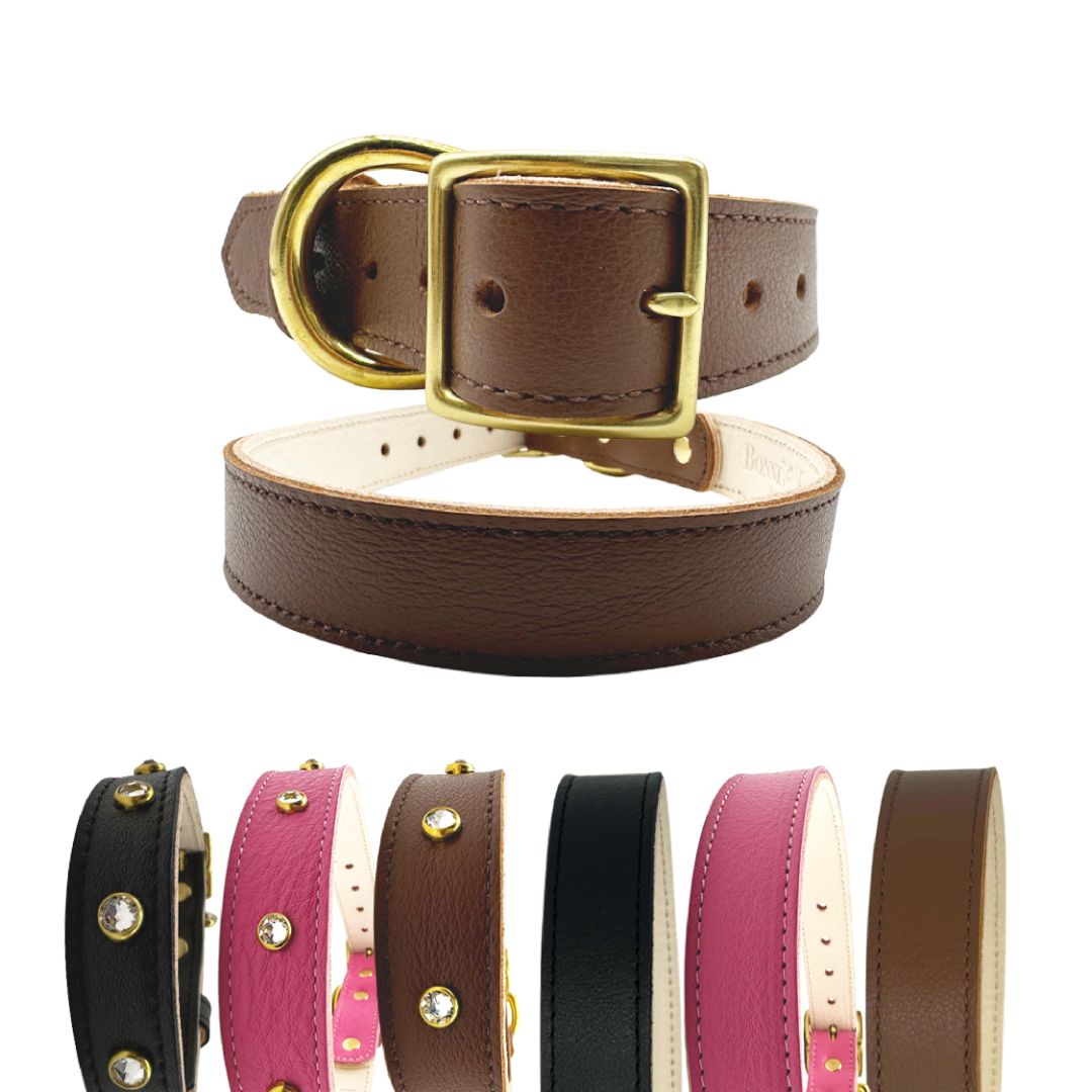 Plain Leather Dog Collar - BIG FRENCHIES