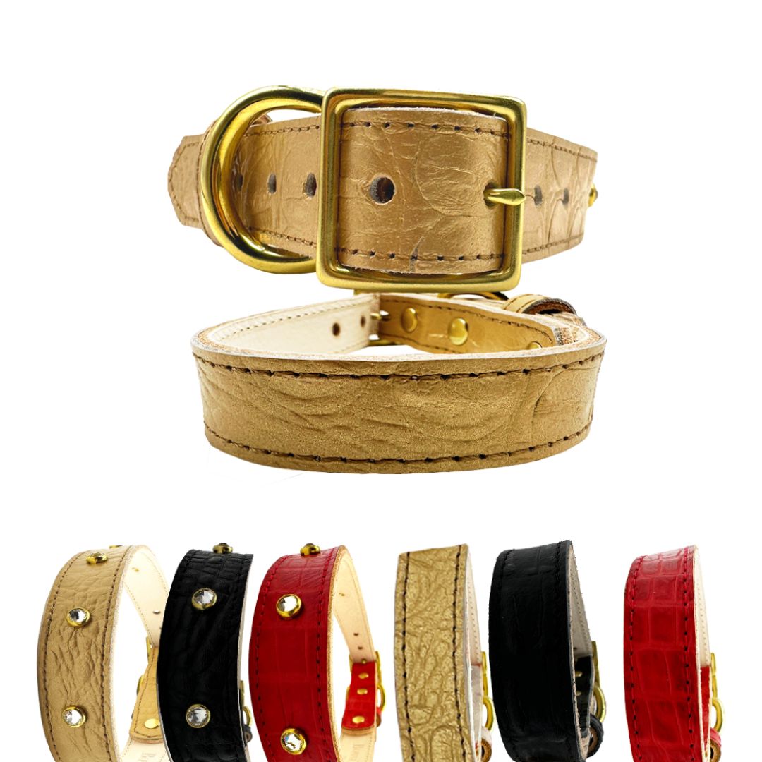 Croc Leather Dog Collar - BIG FRENCHIES