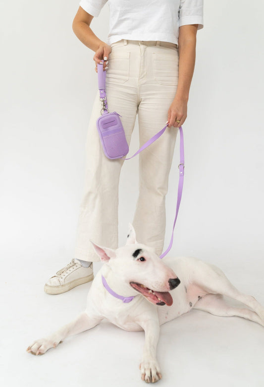 Original Neoprene Dog Walk Bag with Leash - BIG FRENCHIES