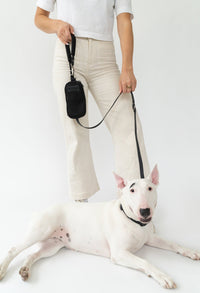 Original Neoprene Dog Walk Bag with Leash - BIG FRENCHIES