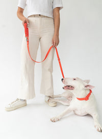 Original Dog Leash with Neoprene Handle - BIG FRENCHIES