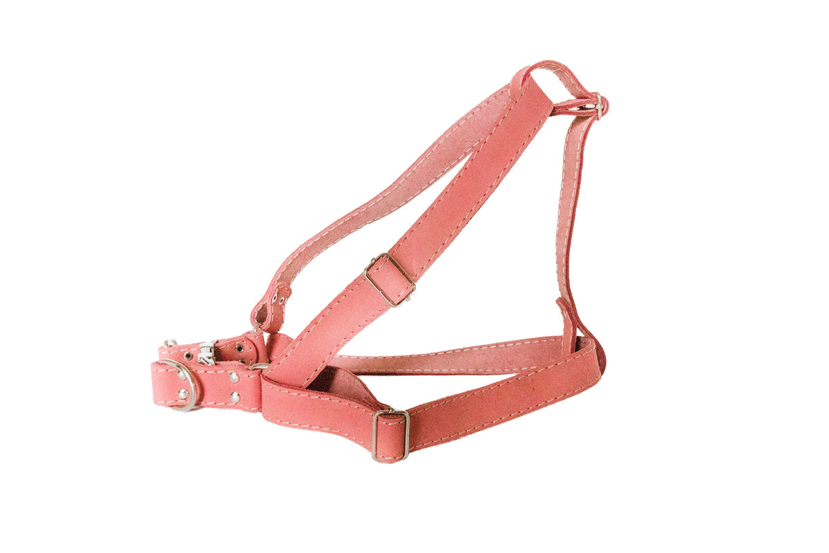 Step In Leather Dog Harness - BIG FRENCHIES