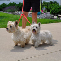 Leash Extension for 2 Dogs - 18"-24" Adjustable Coupler