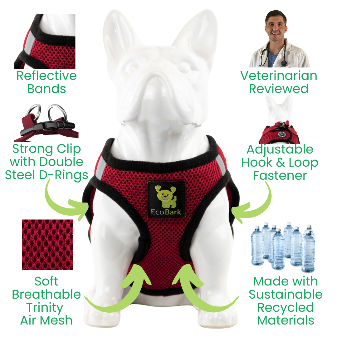 EcoBark Burgundy Step In Dog Harness - Reflective Soft Mesh Harness for Teacup, Small Dogs, and Puppies - BIG FRENCHIES