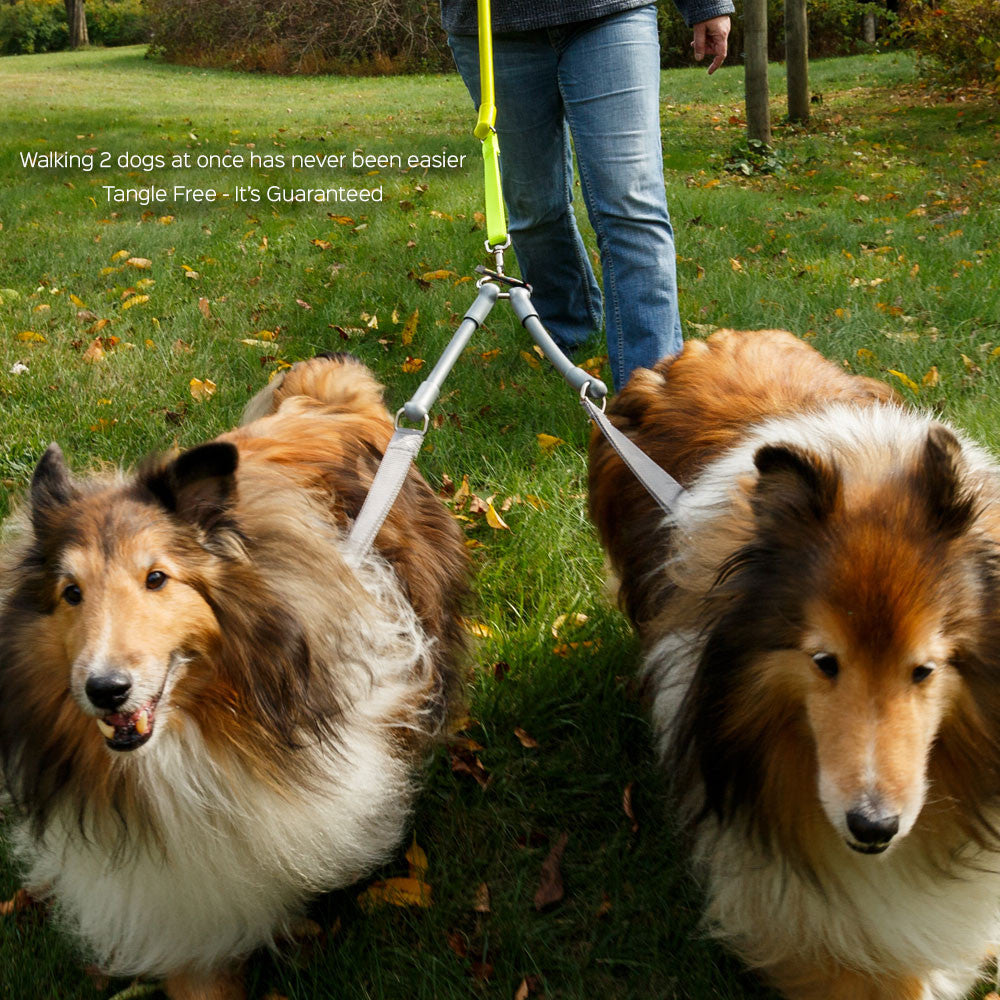 2 Dogs on 1 Leash - CRAZYcoupl'r-Pet Collars & Leashes-BIG FRENCHIES-WACKYstore