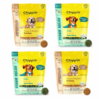 Crunchy Dog Biscuit Bundle, 4-Pack