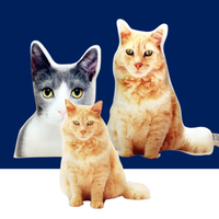 Custom Photo Pet Pillow – Personalized Dog & Cat Picture Cushion - BIG FRENCHIES