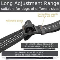Dog Seat Belt Harness